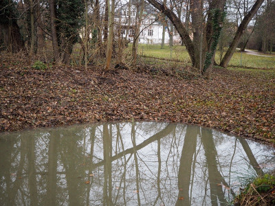 Tümpel 21.12.23.JPG