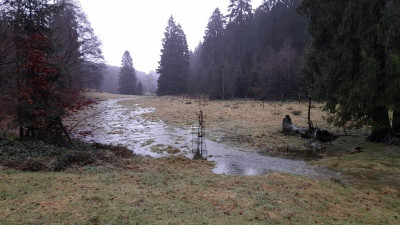 IMG-20231224-WA0026.jpeg