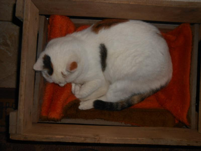 DSCN7049.JPG
