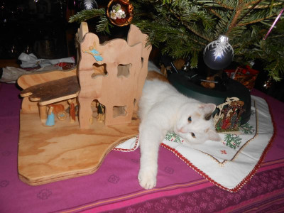 DSCN7055.JPG