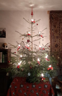 20231224_190306.jpg