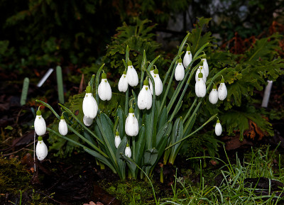 DSC01731_DxO.jpg