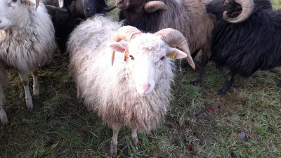 IMG-20231228-WA0003.jpeg