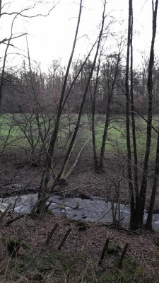 IMG-20231228-WA0015.jpeg