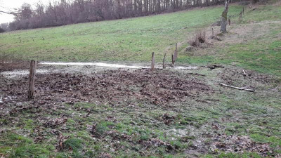 IMG-20231228-WA0011.jpeg
