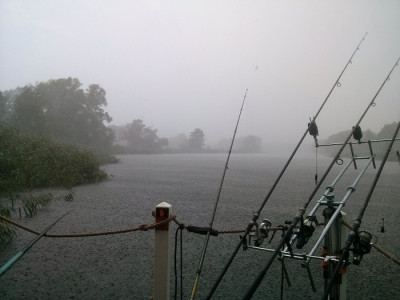 HavelRegen.jpg