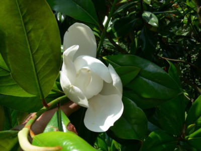 K640_P1060779.JPG