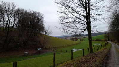 IMG-20240104-WA0006.jpeg