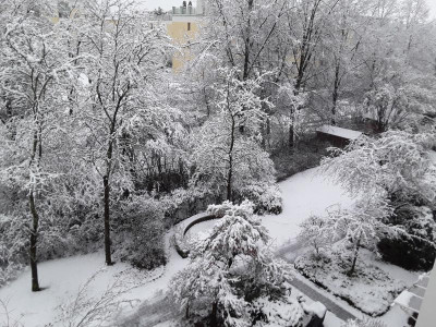 SchneeinM.jpg