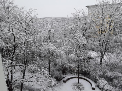 SchneeinMch.jpg
