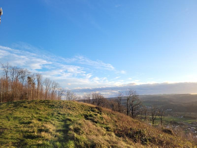 20240105_155630.jpg
