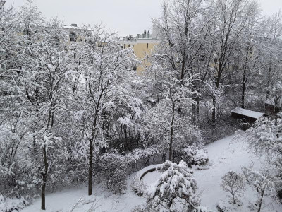 Schneee.jpg