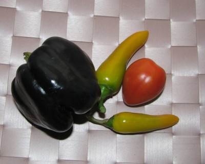 ernte_10_07a.JPG