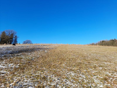 20240109_125036.jpg