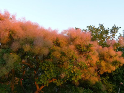 P1180434.JPG