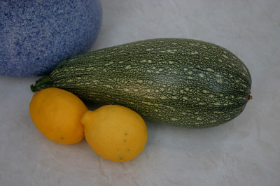 Zuchini0308.jpg
