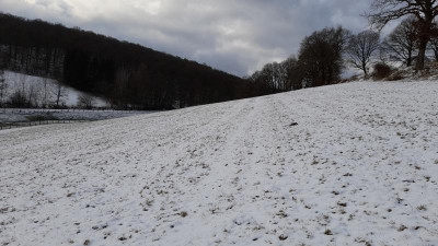 IMG-20240116-WA0004.jpeg