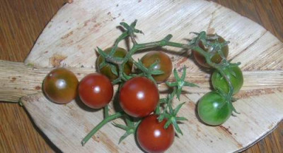 Joahnnisbeertomate_Schwarz___1.jpg