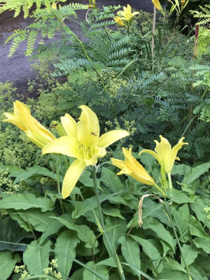 IMG_2082.jpeg