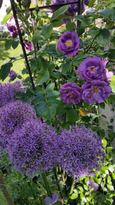 20180525_094035.jpg