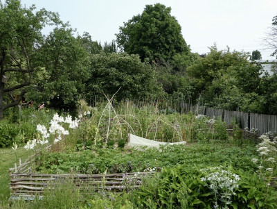 lilien.jpg