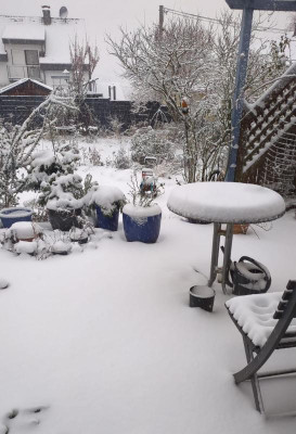 Schnee.24-2.jpg