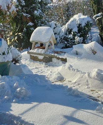 Terrasse.jpg