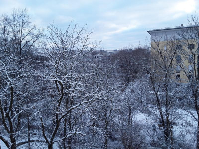 Neuschnee.jpg