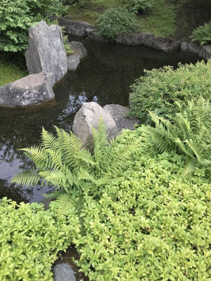 IMG_1669.jpeg