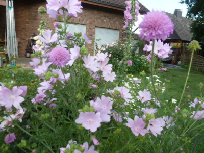 P1310732.JPG