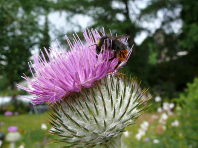 P1140138_1.JPG