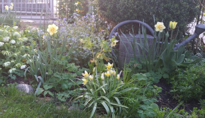 Frühling1.jpg