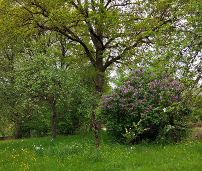 20230507_201321.jpg
