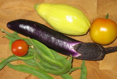 ernte2_1_2_1.jpg
