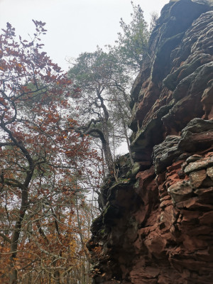 Felsvegetation Quercus Pinus.jpeg