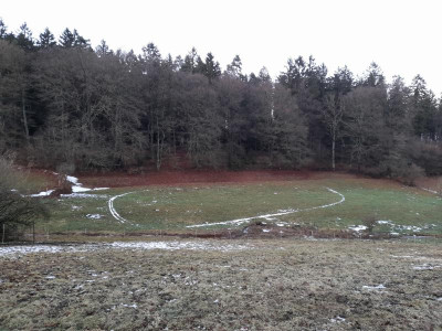 20240122_164827.jpg