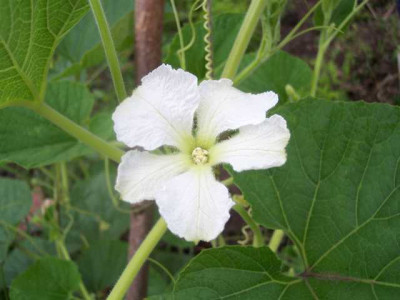 K640_100_5479.JPG
