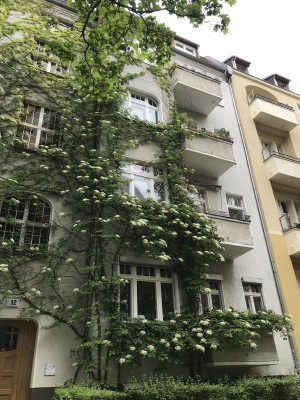 Hydrangea petiolaris Hauswans (2).JPG