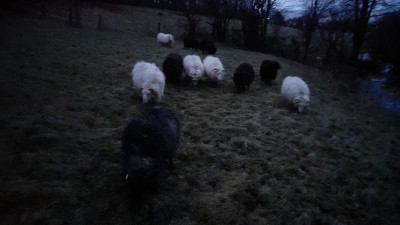 IMG-20240124-WA0013.jpeg