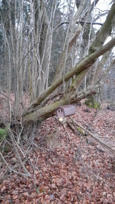 IMG-20240124-WA0011.jpeg