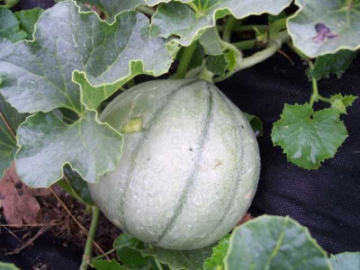 K640_100_5480.JPG