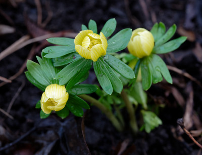 DSC_8182_DxO.jpg