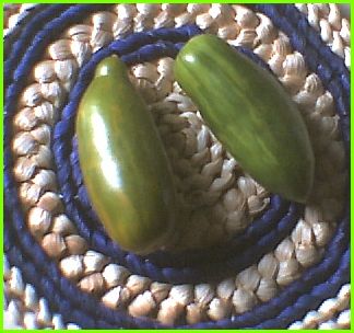 ErnteSausage.jpg