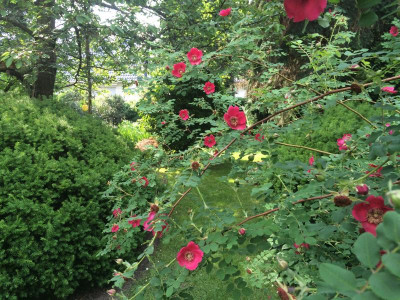 img_4325.jpeg