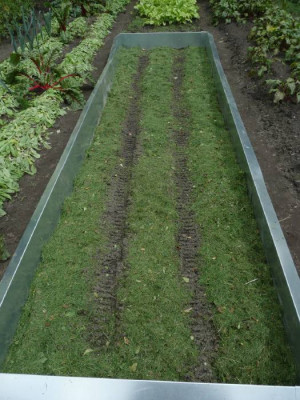 c_mulch_1.jpg