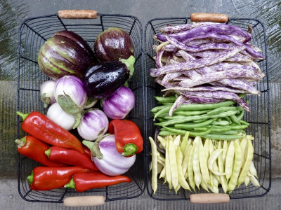 veg.jpg