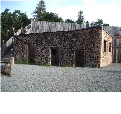 Nationalpark_Hainich_Wildkatzenkinderwald.jpg