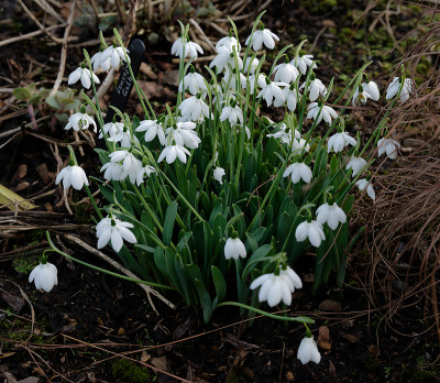 DSC_8194_DxO.jpg