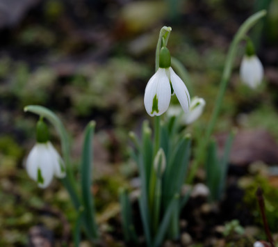 DSC_8190_DxO.jpg