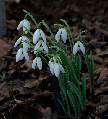 DSC_8188_DxO.jpg